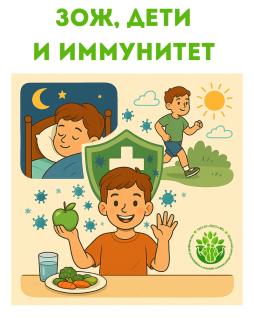 ЗОЖ и иммунитет